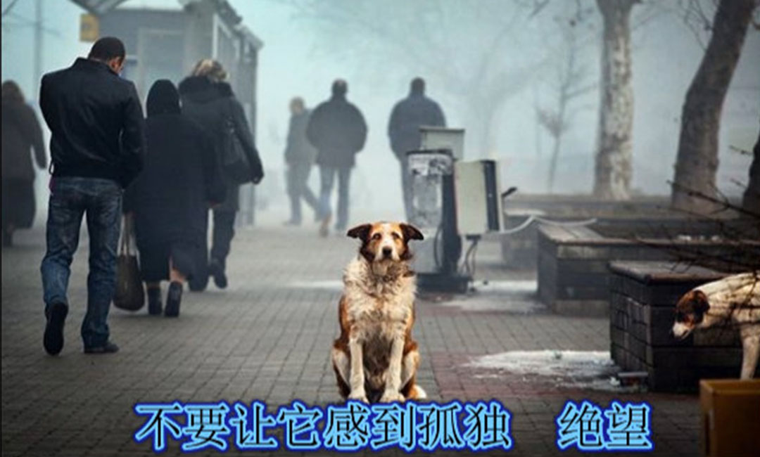 南宁南宁爱影圈微博微信转发案例